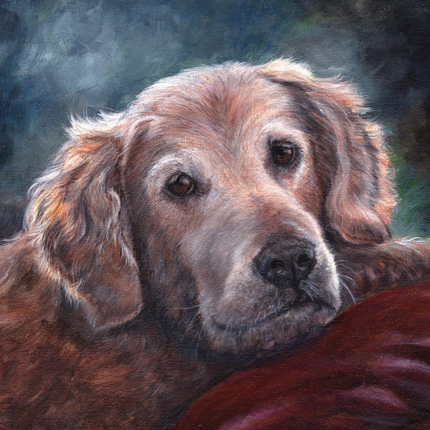 buck 12x12