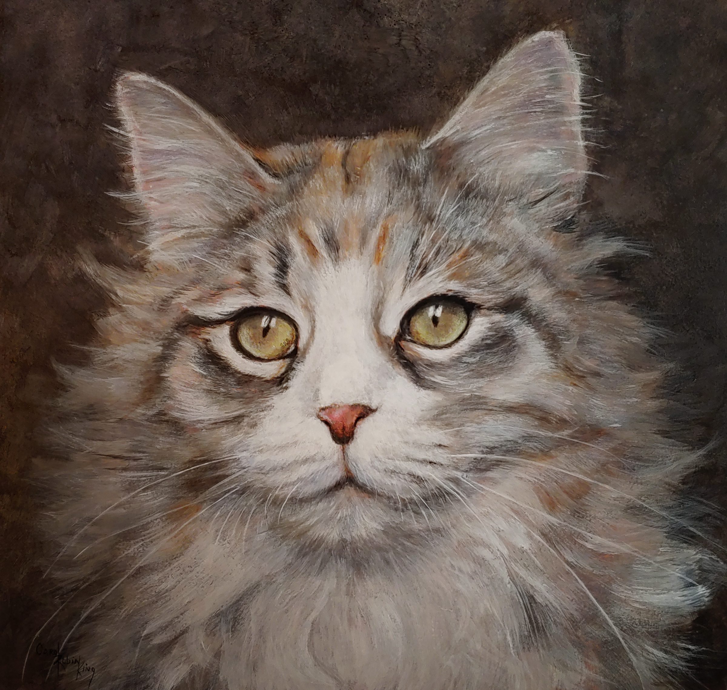 longhaircat