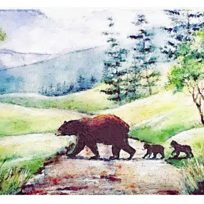 Townsend Art Center , August 23 2025 1PM Acrylic Painting Class