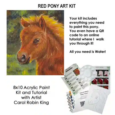 Acrylic art kit complete with tutorial featuring a Red Pony painting, including paints, brushes, palette, outline drawing, and step-by-step instruction sheets by Carol Robin King